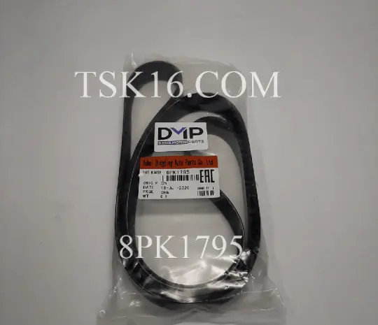 Ремень 8РК 1795 3289314 - QSB 